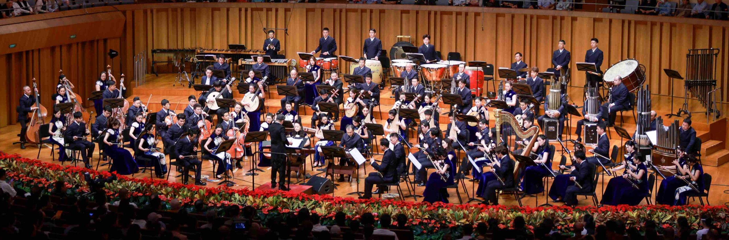 CNTO-klein-geschnitten